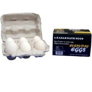 everyday eggs -Kadaknath egg-1