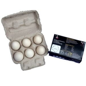 everyday eggs -Kadaknath egg-3