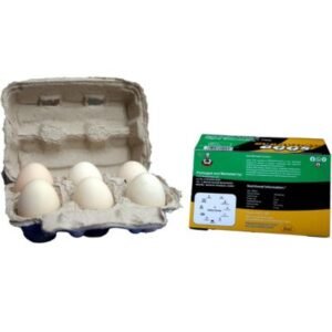 everyday eggs - white eggs -2